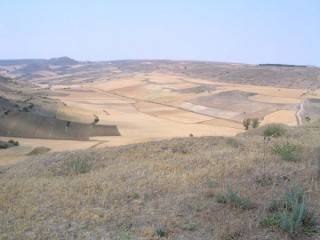 Photo de Medinacelli (Castille-Lon)