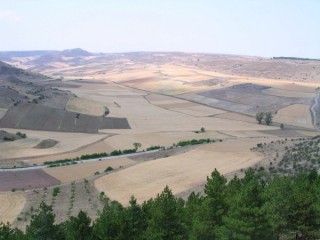 Photo de Medinacelli (Castille-Lon)