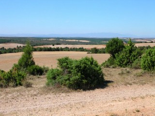 Photo du Caon de Rio Lobos, du chteau...