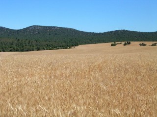 Photo du Caon de Rio Lobos, du chteau...