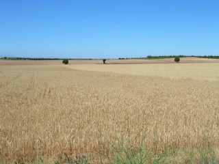 Photo du Caon de Rio Lobos, du chteau...