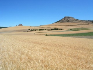 Photo du Caon de Rio Lobos, du chteau...