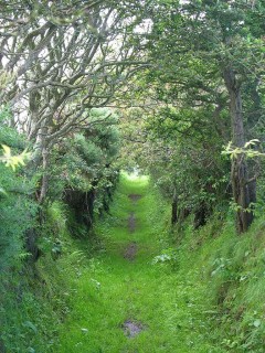 Chemin de randonne irlandais