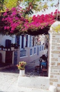 Chora - placette fleurie Chora - placette fleurie