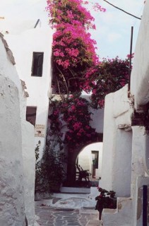 Chora : une ruelle du Kastro
