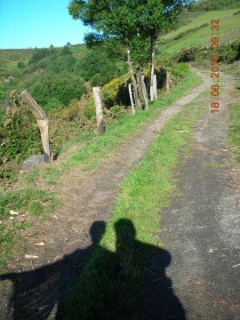 Je marche avec un ange !!!