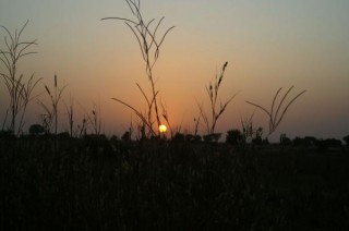 Coucher de soleil sur le campement Hakuna Matata