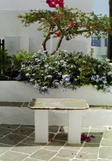 Cour d'une habitation