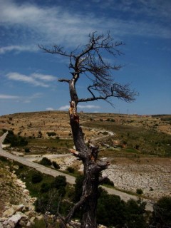 Photo du col de Torre Miro (Communauté Autonome de... Photo du col de Torre Miro (Communauté Autonome de...