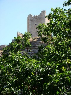 Photo du village et du chteau d'Alcala del...
