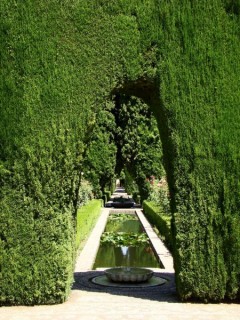 Haie monumentale Haie monumentale