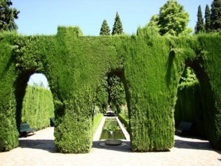 Haies et bosquests Haies et bosquests