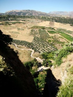 RONDA : Photo de Ronda (Andalousie)