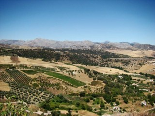 RONDA : Photo de Ronda (Andalousie)