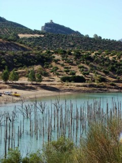 Photo du Puerto de las Palomas (col des colombes)...