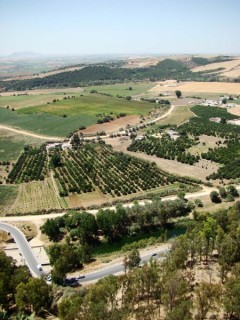 Photo de Arcos de la Frontera (Andalousie)