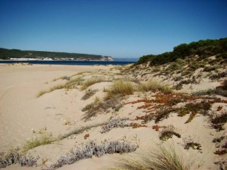 Photo des plages du cap de Trafalgar