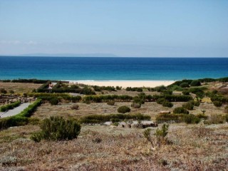 Photo de la plage de Bolonia et des ruines...