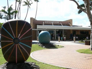 Entre de l'aquarium