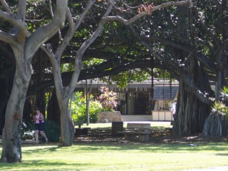 Entrée du zoo Entrée du zoo