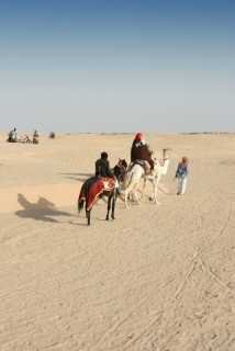 Excursion dans le dsert  dos de chameaux