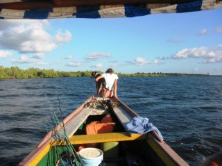 Excursion dans les bolong (mangrove)