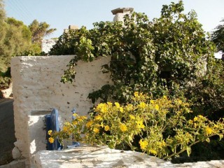 Habitat traditionnel