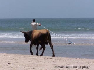 Jamais seul