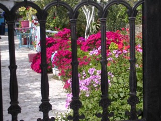 Jardins. Santorin