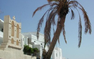 Kastro - Clocher et palmier Kastro - Clocher et palmier