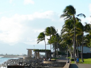 Kewalo basin park