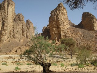 L'Oued Essendilene