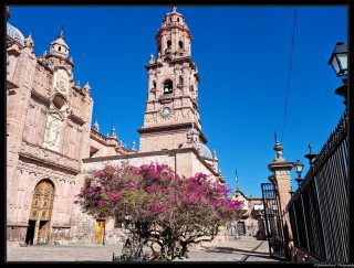La cath�drale vue de c�t�