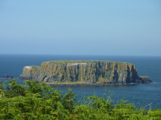 La chausse des Gants