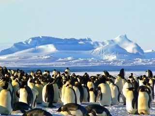 Sélection photos du pôle Sud