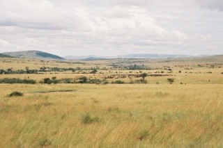 La plaine de Masa Mara