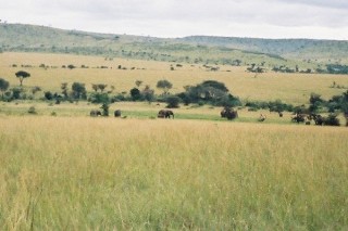 La plaine de Masa Mara