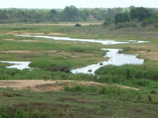 La rivière Letaba