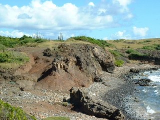 La savane des pétrifications La savane des pétrifications