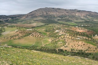 La valle fertile de Mekns 