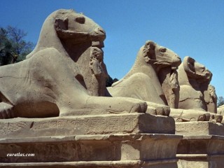 L'allée des béliers ou criosphinx à Karnak