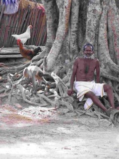 L'arbre de vie. Rameswaram