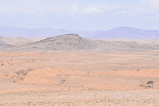 Le désert du Namib (2/2)
