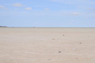 Le lac Etosha (3/3)