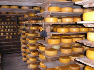 Le march aux fromages