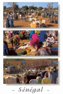 Le marché du Sénégal