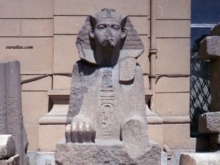 Le musée égyptien au Caire