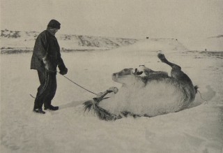 Le pôle meurtrier, photos du journal de route du Capitaine Scott (1911-1912)