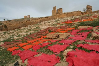 Le schage des cuirs rouges