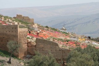 Le transport des cuirs  dos d'ne